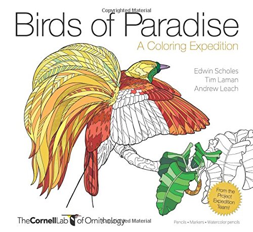 Birds of Paradise: A Coloring Expedition