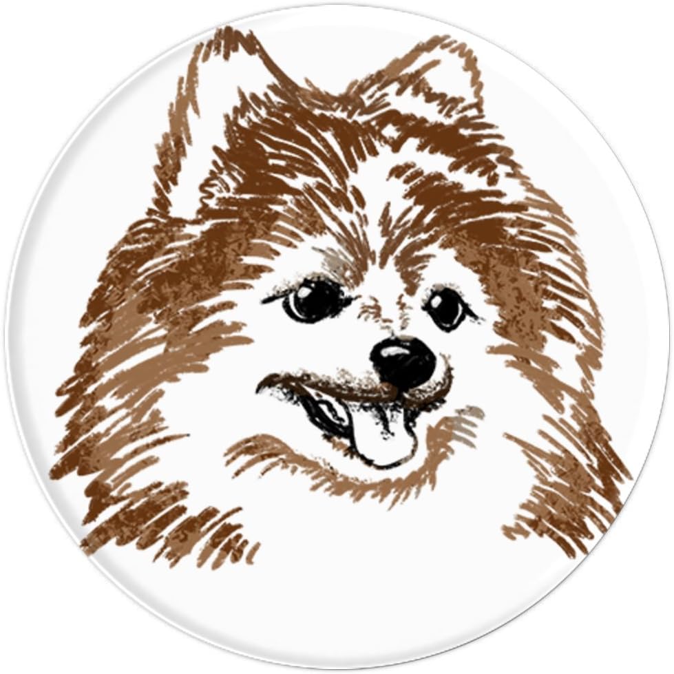 Amazoncom Pomeranian Dog