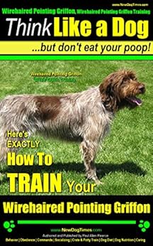 Wirehaired Pointing Griffon, Wirehaired Pointing Griffon ...