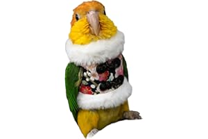 YANQIN Bird Costume Bird Flight Suit Bird Clothes Cosplay Photo Prop for Parrots Parakeet Cockatiel Sun Conure, Bird Hoodie Small Animals Apparel (Black, Small)