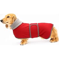 buy dog jacket
