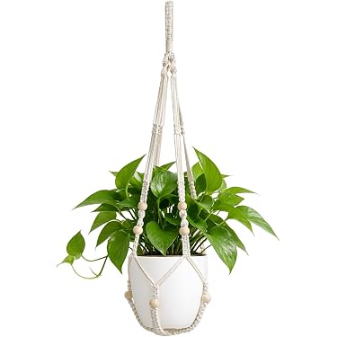 Amazon.com New Releases: The best-selling new & future releases in Hanging  Planters