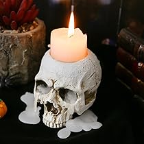 天野タケル 原画 額装済み skull, lemons & a candle Amazon.com: Skull Candle Holder - Gothic Shed Tears Human