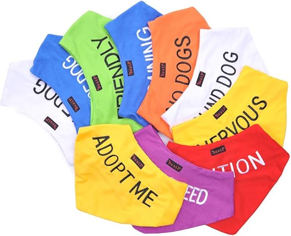 friendly dog bandana