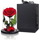 Preserved Roses Red Roses in Glass Dome, Medium, Preserved Flowers for Women
