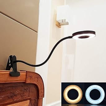 amazon clip on reading light