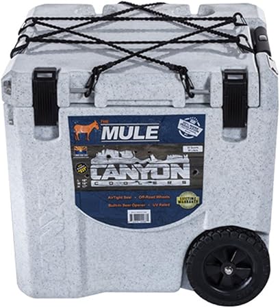 30 qt cooler with wheels