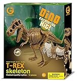Geoworld Dino Excavation Kit - T-Rex Skeleton