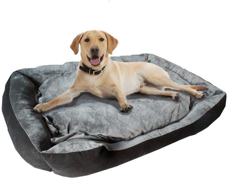 cama xxl perro