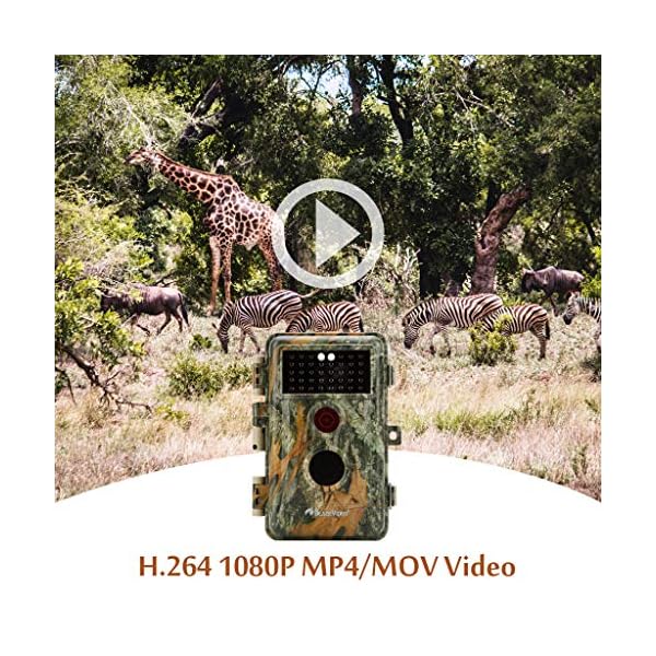 BlazeVideo 48MP Wildkamera Nachtsichtkamera Wildtier Kamera mit 1296P H.264 MPV Video, Bewegungmelder Nachtsicht Zeittraffer, IP66 Wasserdicht und 2,4" Bildschirm – Bild 3