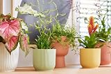 elho Vibes Fold Round Mini 7-100% Recyclable Pot Ø7.0 x H6.5 cm Green view 7