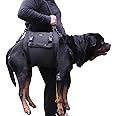 Dog Carry Sling, Emergency Backpack Pet Legs Support & Rehabilitation Dog Lift Harness for Large Dogs, Dog Carrier for Senior Dogs Joint Injuries, Arthritis, Up and Down Stairs (Black, XXL)