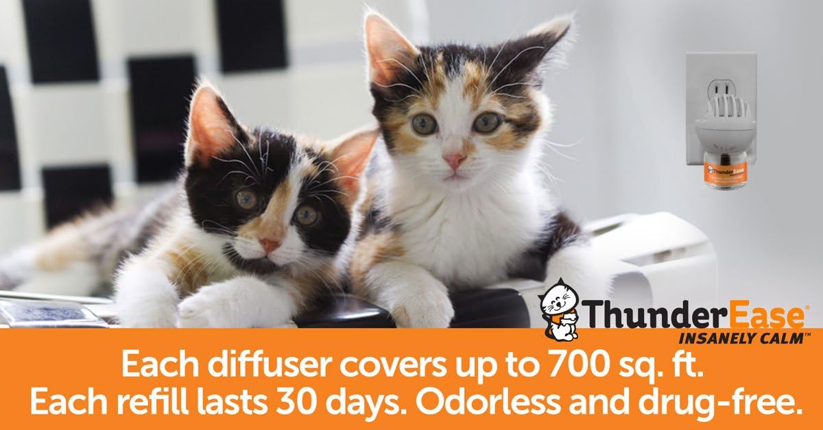 ThunderEase Multicat Calming Pheromone Diffuser Refill | Powered by FELIWAY | Reduce Cat Conflict, Tension and Fighting (180 Day Supply) : Pet Supplies