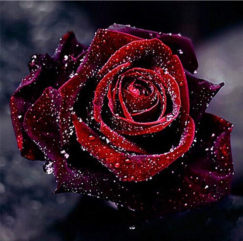 Diamond Painting kaufen