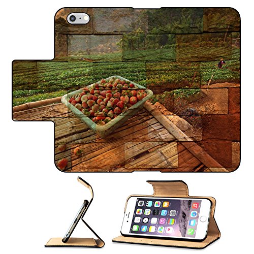 MSD Premium Apple iPhone 6 Plus iPhone 6S Plus Flip Pu Leather Wallet Case IMAGE ID: 35263769 strawberry field in Chiang Mai Thailand Mural The stone painting concept