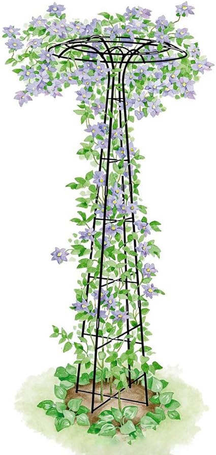Umbrella Shape Flower Stand Climbing Plant Garden Trellis For Vines And Climbing Plants Vegetables Clematis Support Durable Robust Beautiful Plant Decoration Amazon De Kuche Haushalt