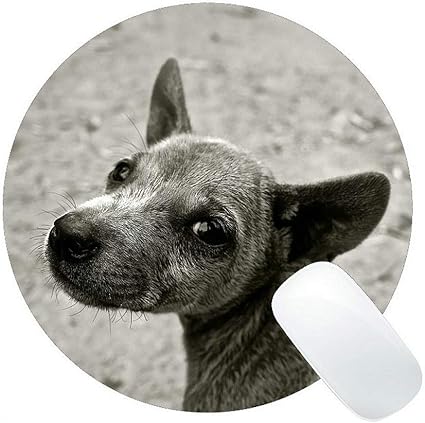 Amazon 丸いマウスパッド 犬の子犬小型犬若い犬ペット動物ゲーム用マウスパッド Yanteng マウスパッド 通販