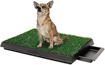 Hundetoilette Hundeklo Toilette Trainingsunterlage Fur Kleine Hunde Grosse Hunde Altere Hunde Tier Wc Indoor Welpentoilette Trainingsunterlage Gras Mit Kunstrasen 63 X 50cm Amazon De Haustier