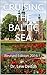 CRUISING THE BALTIC SEA: Revised Edition 2016-17