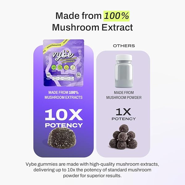 VYBE DAILY NOOTROPIC GUMMIES – 8-IN-1 MUSHROOM & ADAPTOGEN BRAIN SUPPLEMENT FOR FOCUS, ENERGY, AND MOOD WITH LION’S MANE, CORDYCEPS, REISHI, CHAGA, ASHWAGANDHA (BLUEBERRY, 60-COUNT)