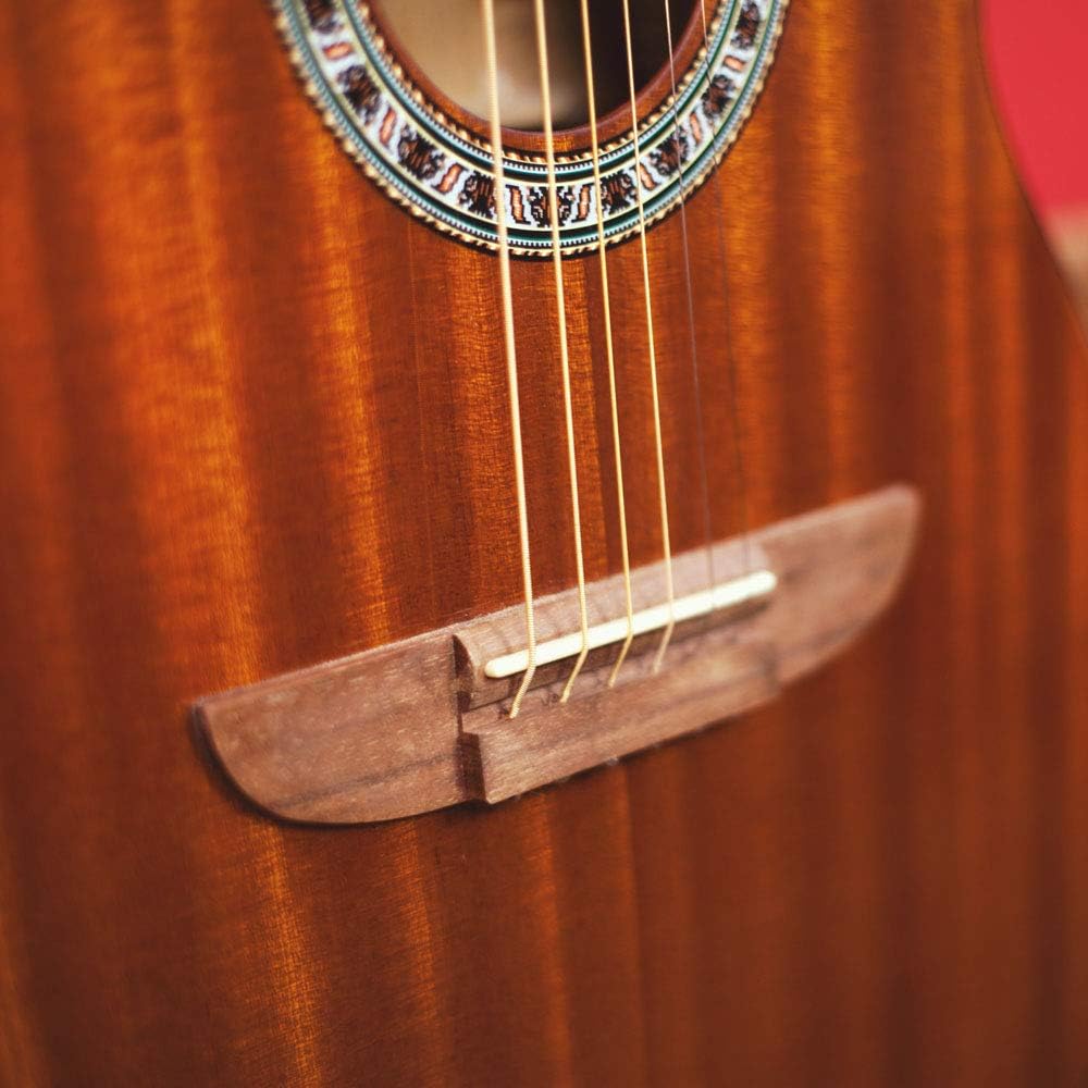 Lindo Guitars Apprentice Series 933C - Guitarra acústica (con ...
