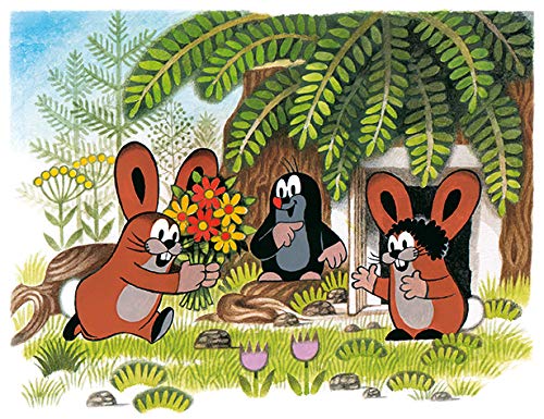 Der kleine Maulwurf - Komplettbox [9 DVDs] 5