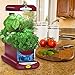 AeroGarden Sprout with Gourmet Herb Seed Pod Kit, Red