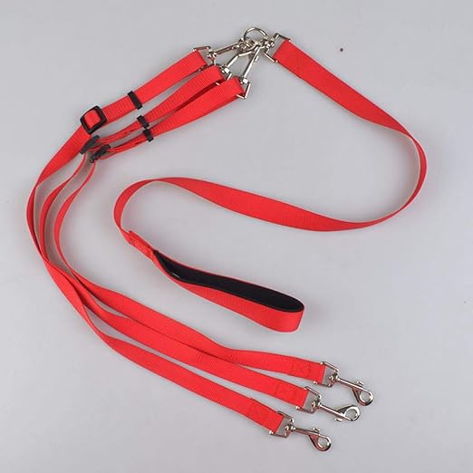 Correas Básicas Para Perros Cinta De Nylon Resistente Tres ...