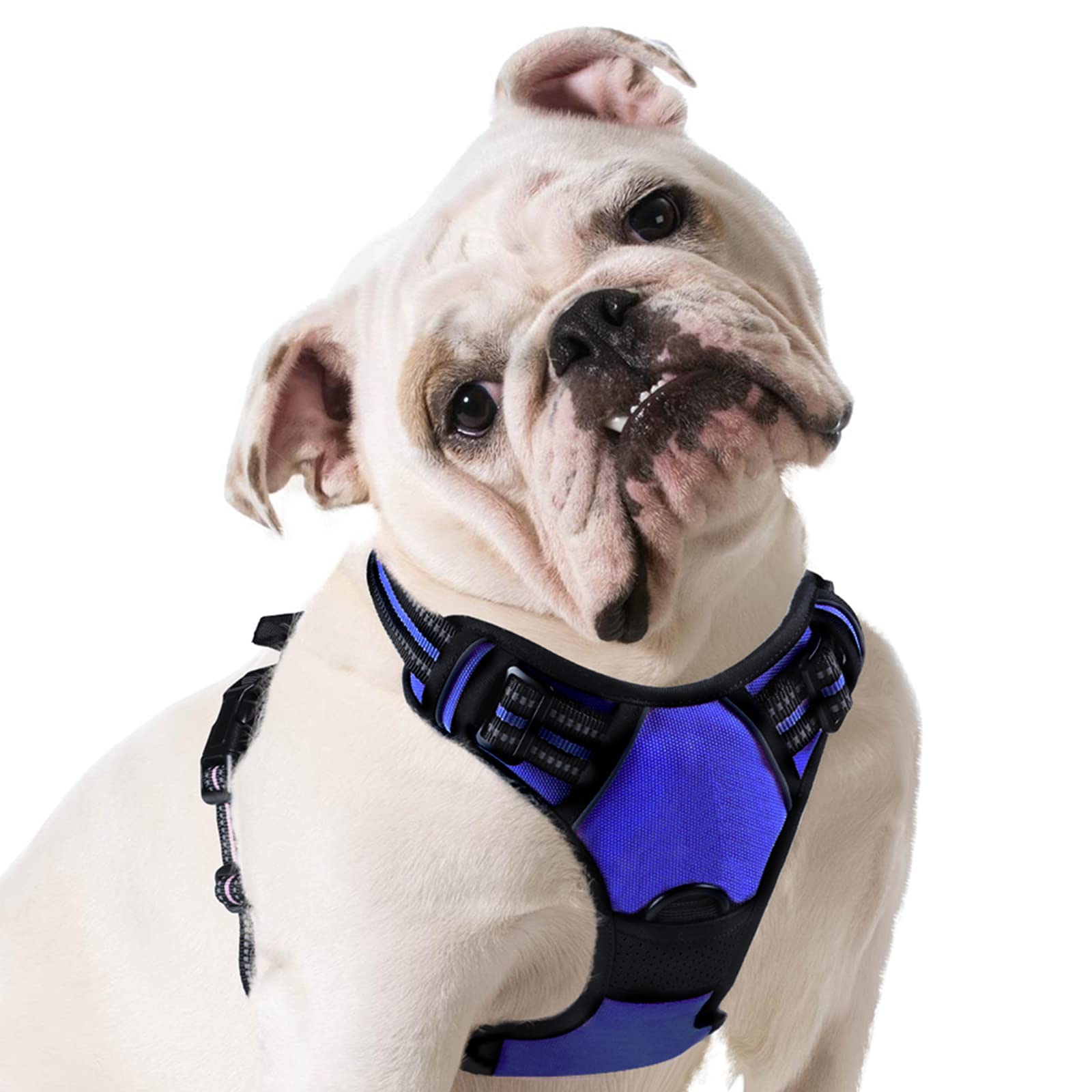 Eagloo Dog Harness Medium, No Pull Harness with Front Back Clips, Adjustable Dog Walking Vest, Soft Padded Pet Vest, Reflective No-Choke Breathable with Easy Control Handle, Blue, M