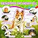 Hemp Oil Dogs Cats - 7000mg - Stress Relief, Separation Anxiety, Chronic Pains, Joint Pain, Seizures, Arthritis, Anti-Inflammatory - Calming Drops - Omega 3, 6 & 9