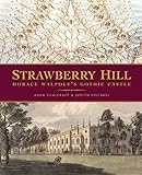 Strawberry Hill: Horace Walpole's Gothic Castle by Anna Chalcraft, Judith Viscardi
