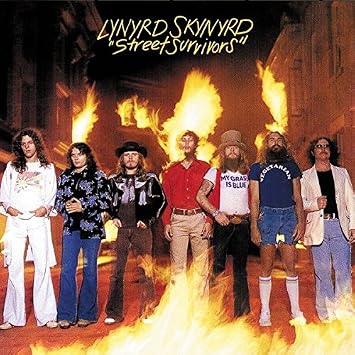 Street Survivors [Disco de Vinil]: Amazon.com.br: CD e Vinil