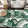 ALAZA Tropical Palm Tree Leaves Jungle Leaf Green Area Rug Rugs for Living Room Bedroom 7' x 5' 61XY9CDletL