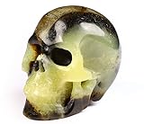 Skullis 2.0" Dragon Septarian Stone Crystal