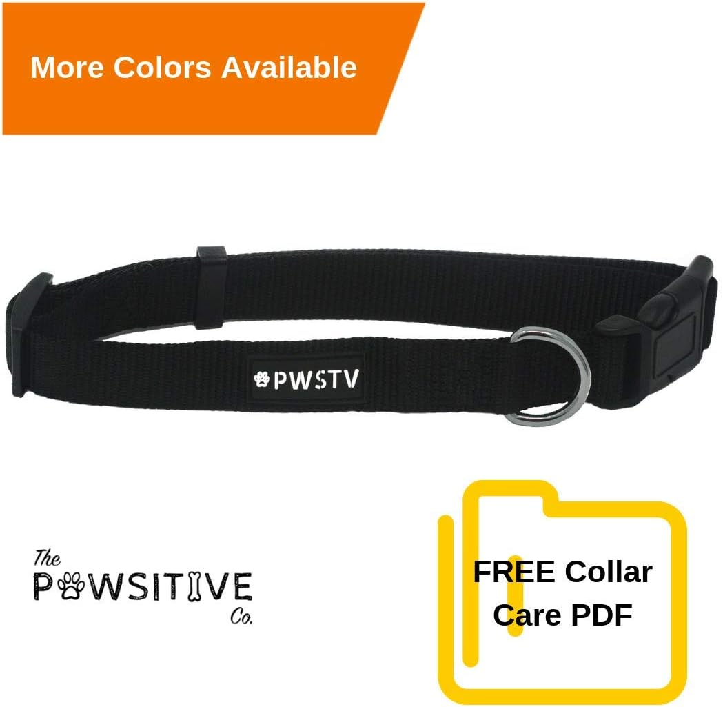 The Pawsitive Co. Classic Solid Color Dog Collar and Leash Collection - Dog Collars and Dog Leashes (Each Sold Seperately)