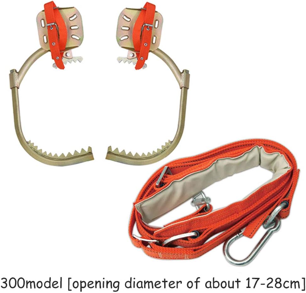 arrampicarsi sugli alberi