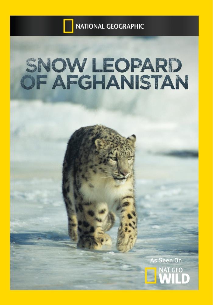 The best series national geographic snow leopard of afghanistan country
