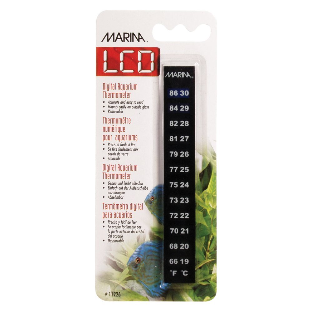 (A1226) Digital Thermometer