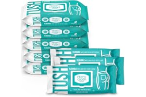 Nice 'N Clean Adult Flushable Wipes (8 x 42 Count) | Personal Cleansing Wipes Made from Plant-Based Fibers | Infused with Aloe & Vitamin E