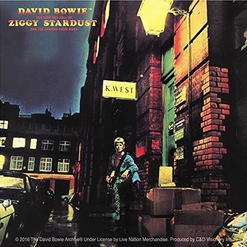 C&D Visionary David Bowie Sticker Action Figure