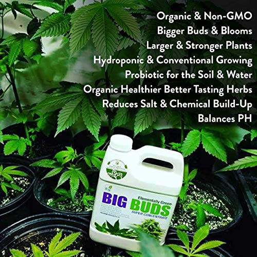 Elementally Green Big Buds Super Concentrate Soil Nutrient Bigger