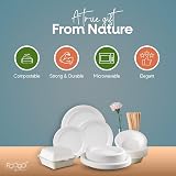 FOOGO Green Clamshell Takeaway Boxes 9x6 32oz 900ml 2-Section Sugarcane view 4