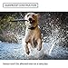 Trade Paw Dog Bark Collar Upgraded 2019 IP-67 Smart Sensor Training Anti Barking Control Device Adjustable Collar Rechargeable Beep/Vibration/Shock 7 Sensitivity for Small Medium Large 10 lbs-120 lbsthumb 2