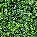 Porpora Artificial Hedge Plant, Greenery Panels Suitable for Both Outdoor or Indoor use, Garden, Backyard and/or Home Decorations, Boxwood 20 x 20 Inch (12 pack) by e-Joy