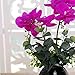 YILIYAJIA Artificial Orchid Bonsai with Ceramics Vase, Fake PU Real Touch Flowers Phalaenopsis Bonsai for Table Office Home Party Decoration (Style 1, Black Vase)