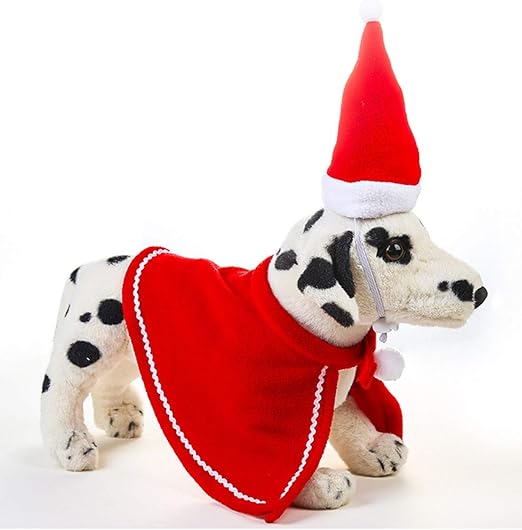 dog hat pets at home