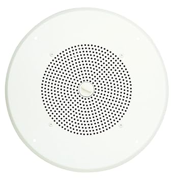 Wsb 1w Self Amplified Ceiling Speaker White Price Buy Wsb 1w Self