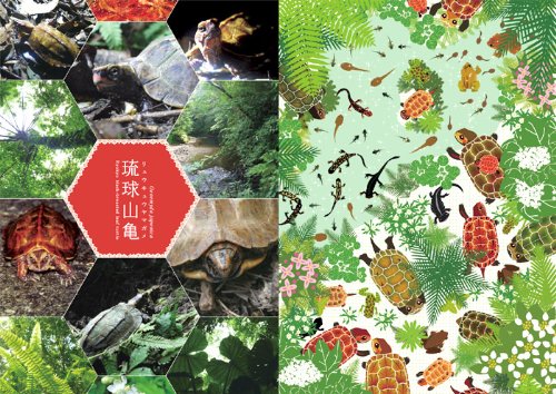 カメが好き かめ亀kame図鑑 P Vine Books みのじ 本 通販 Amazon