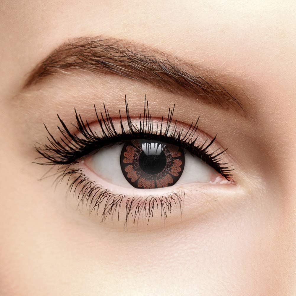 Lentilles De Couleur Marron Noisette Jolis Grands Yeux (90 Jours) sans Correction Amazon.fr