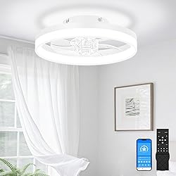 VOLISUN 13 inch Small Ceiling Fans with Lights and